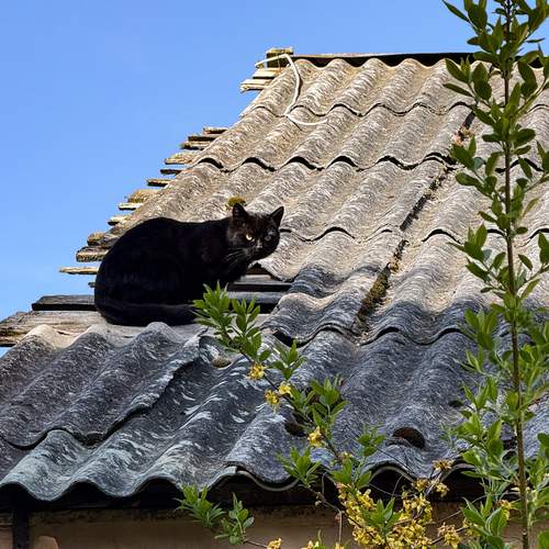 Photo #12233027