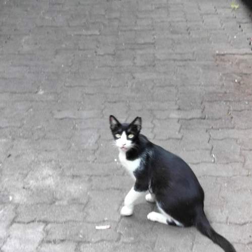 Photo #12233276