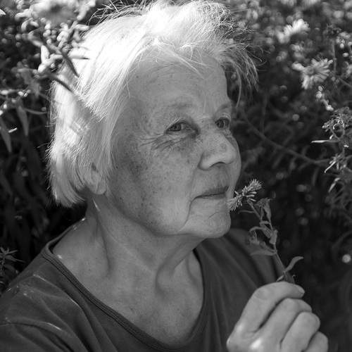 Photo #12233288
