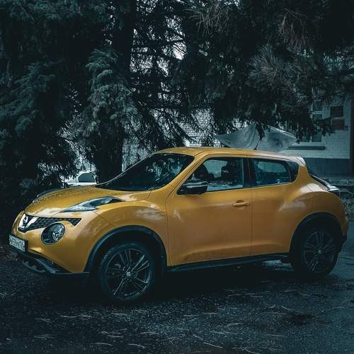 Photo #12233473