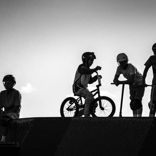 Photo #12233477