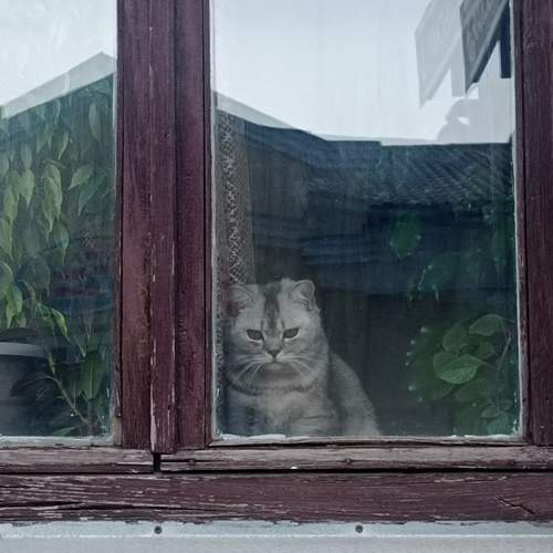 Photo #12233565