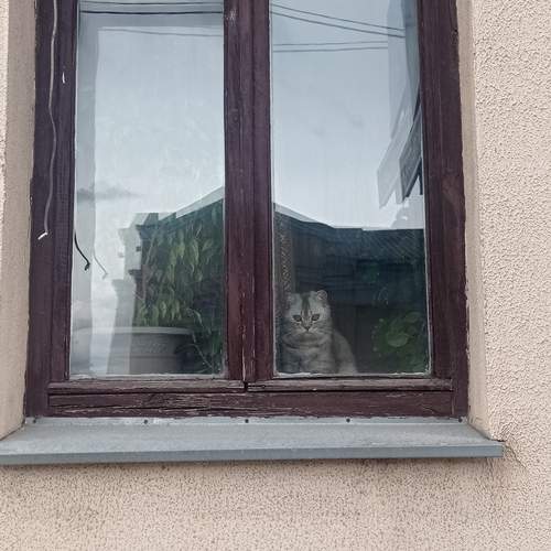 Photo #12233567