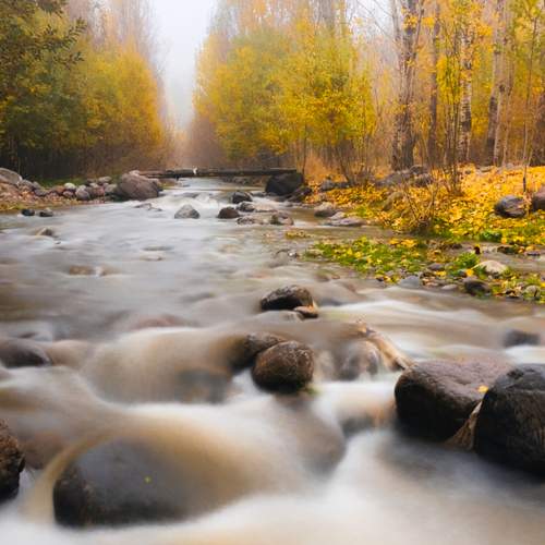 autumn landscape featuring a serene stream winding through a forest.
