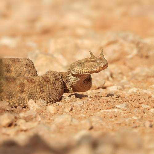 Photo #12233662