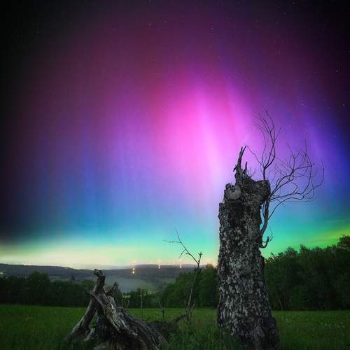 Фотография #12233710