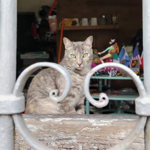 Photo #12233740