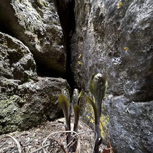 Photo #12233882