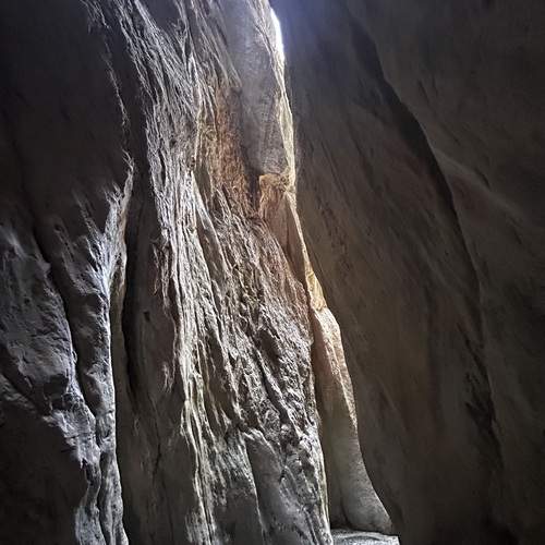 Photo #12233911