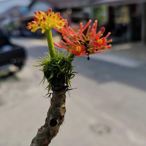 Photo #12233976