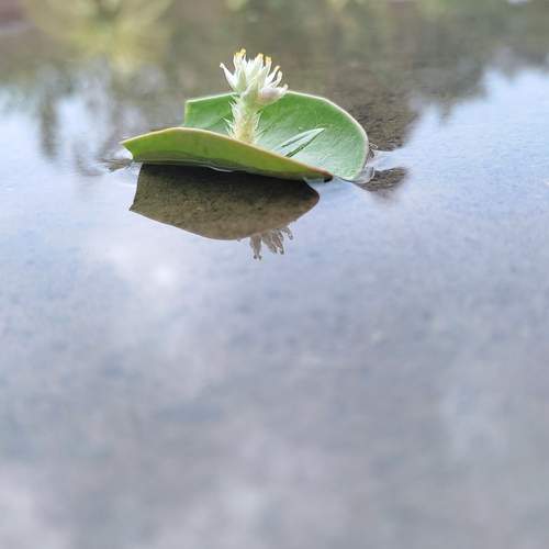 Photo #12234004