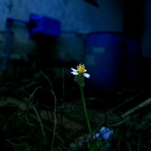 Photo #12234095