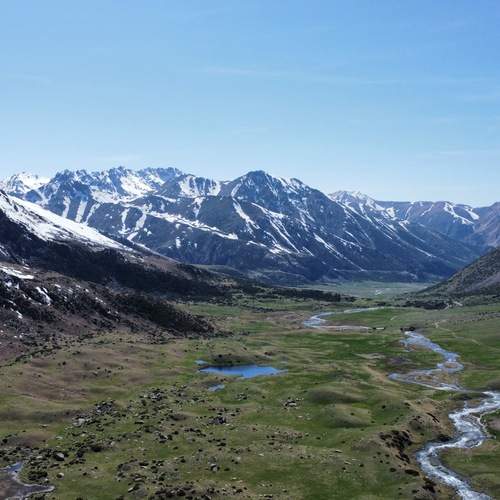 Photo #12234120