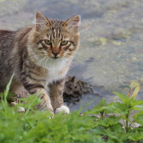 Photo #12234151