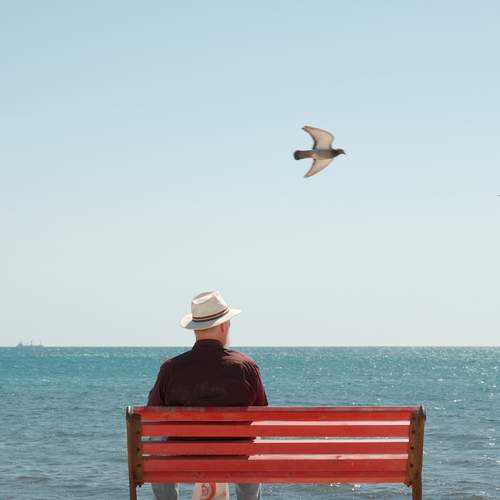 Photo #12234158