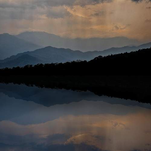 Photo #12234305