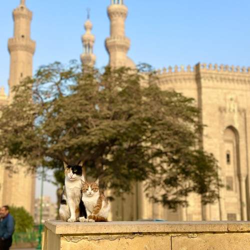 Photo #12234316