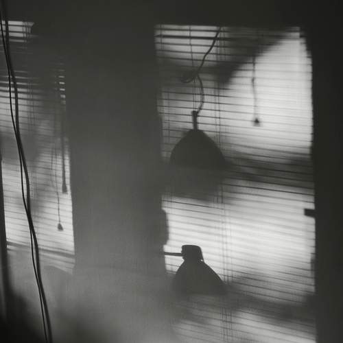 Photo #12234369