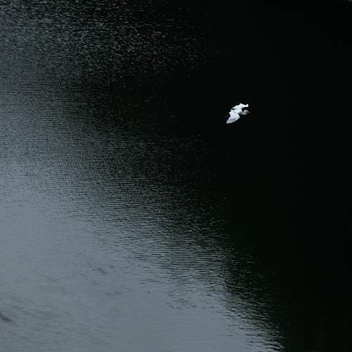 Flying through the darkness