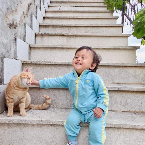 Photo #12234465
