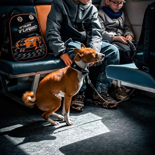 Photo #12234487