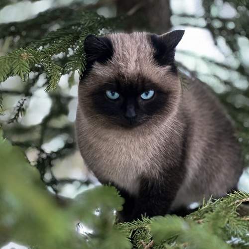 Photo #12234495