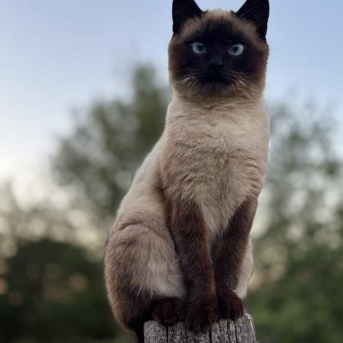 Photo #12234497