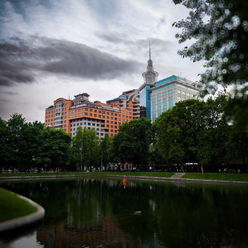 Photo #12234511
