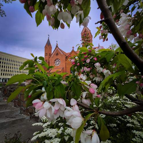 Photo #12234512