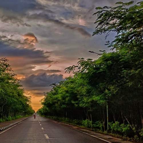 Evening Ride