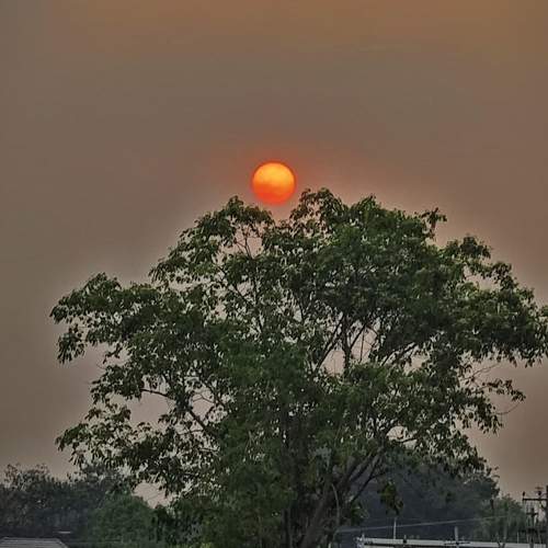 Evening Glow