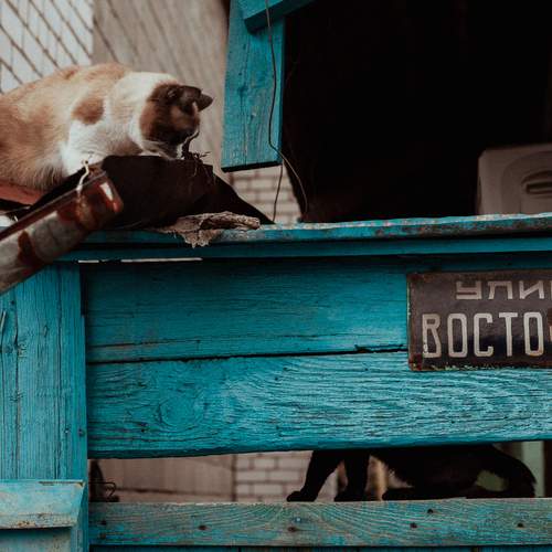 Photo #12234988