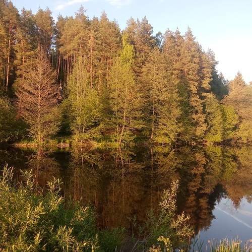 Photo #12235160