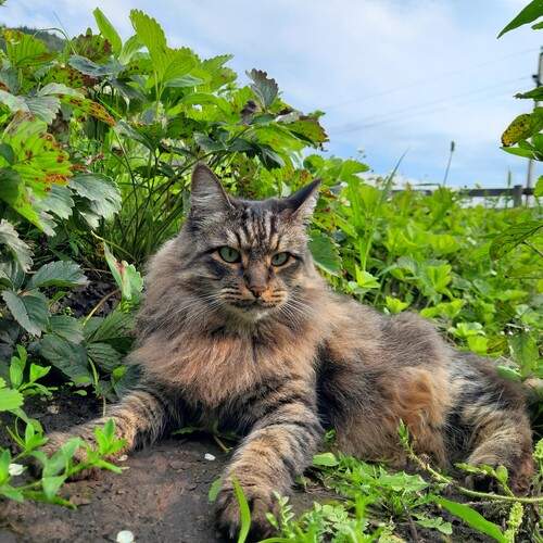 Photo #12235176