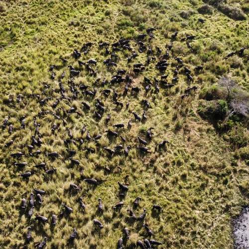 Photo #12235219