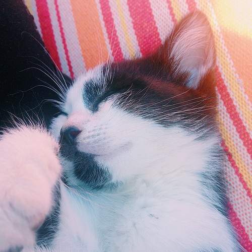 Photo #12235501