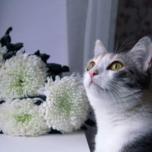 Photo #12235550