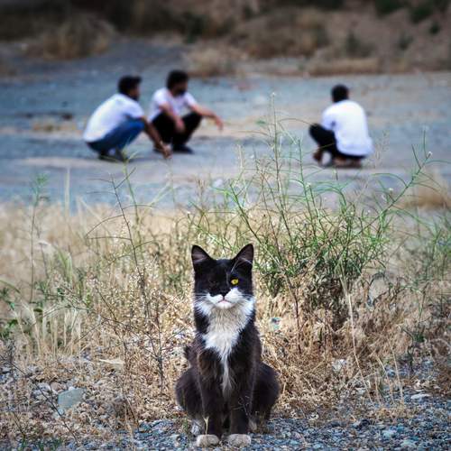 Photo #12235567