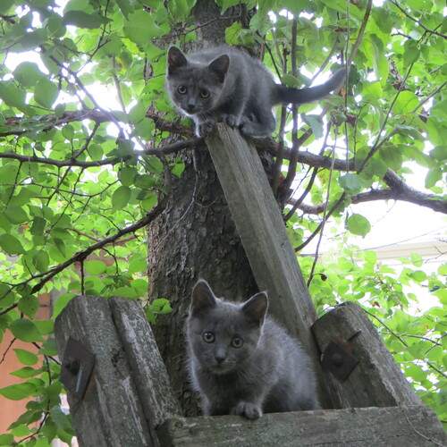 Photo #12235570