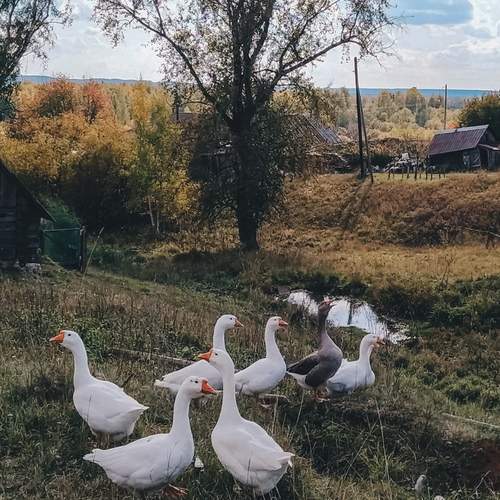 Photo #12235626
