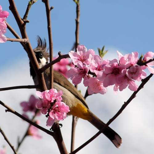 Photo #12235823