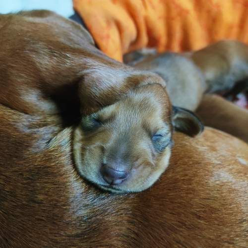 Photo #12235828