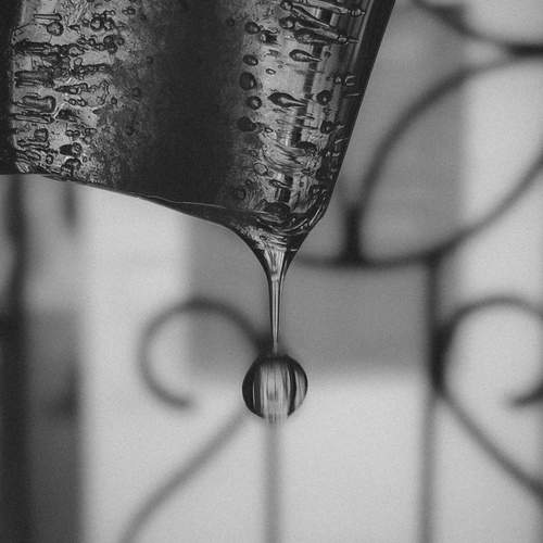 Photo #12235901