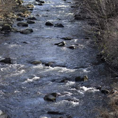 Photo #12235940