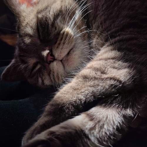 Photo #12235944