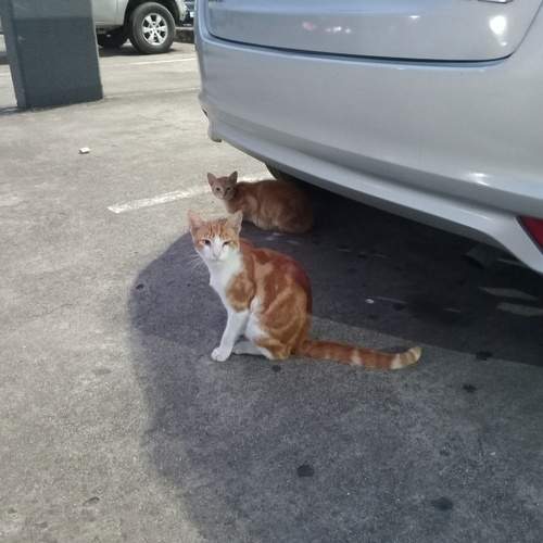 Photo #12236148