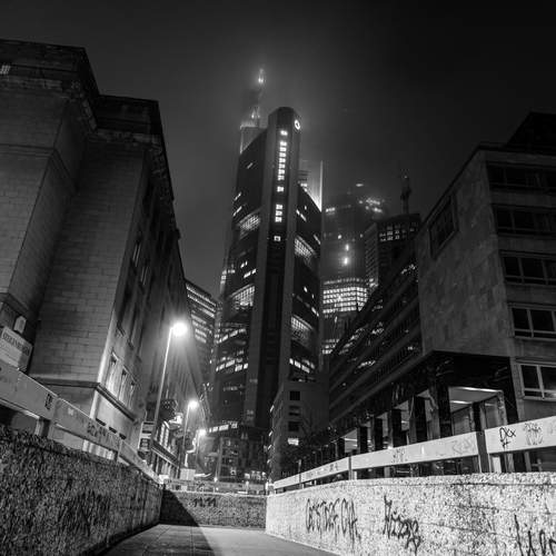 Photo #12236165