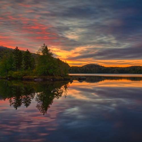 Photo #12236178