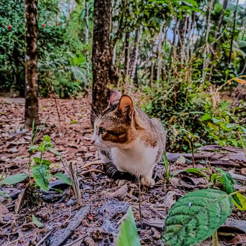 Photo #12236229