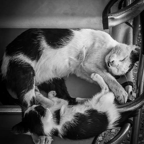 Photo #12236266